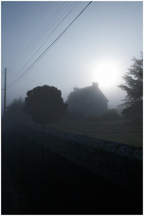 06-Fog