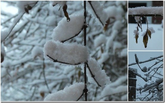 neige le 18 janvier 2024