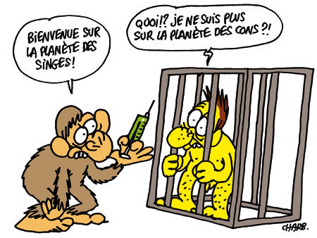 953_Puce_Charb