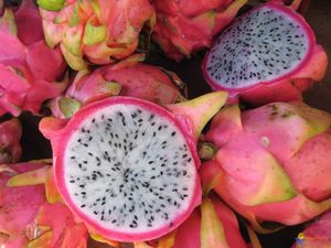 pitaya_fruit_du_dragon_visoflora_1563