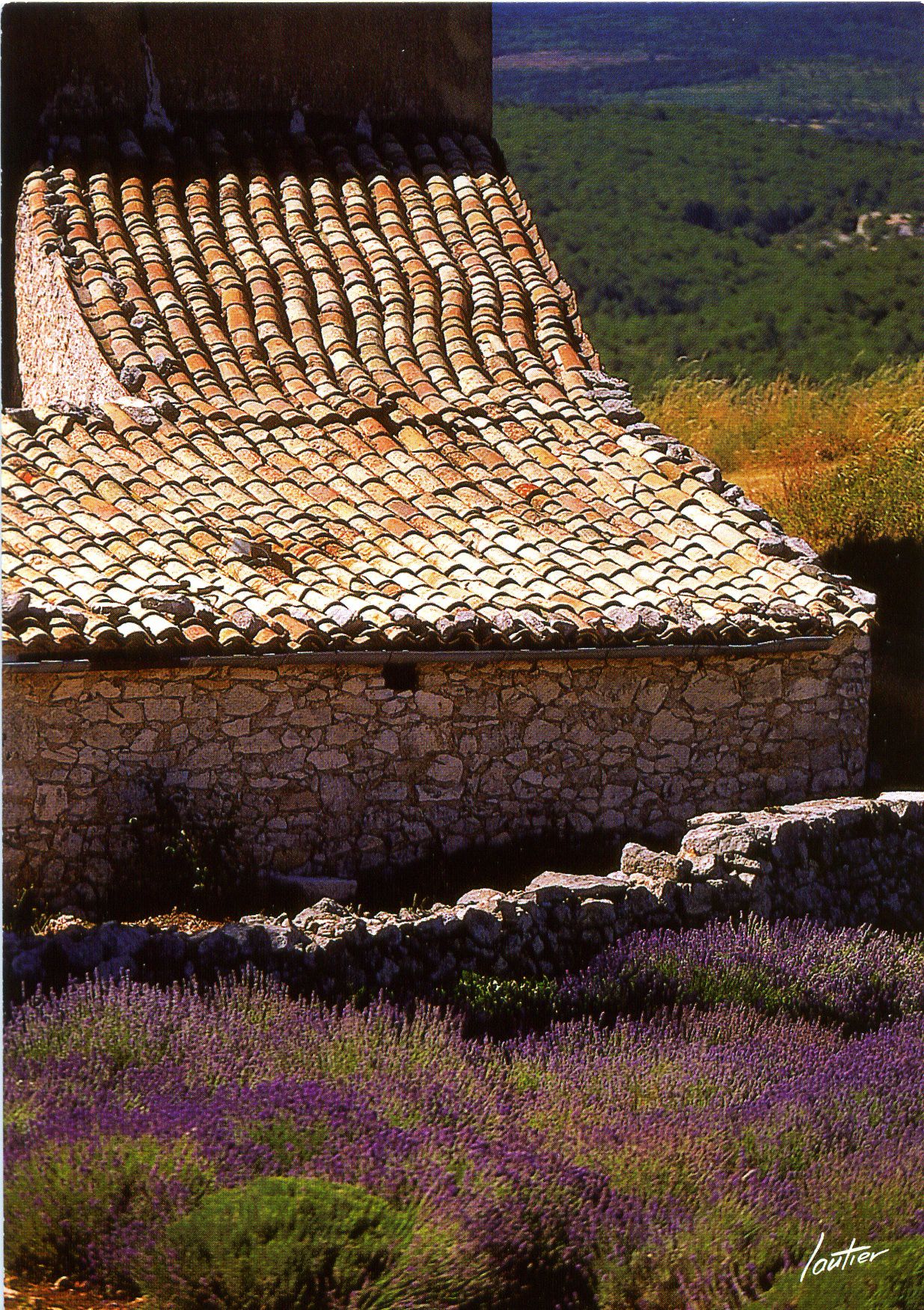 Cabanon-tuiles
