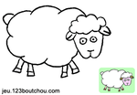 animal_mouton