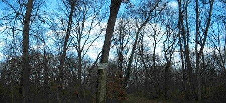 07_01_09_Fontainebleau_pano2