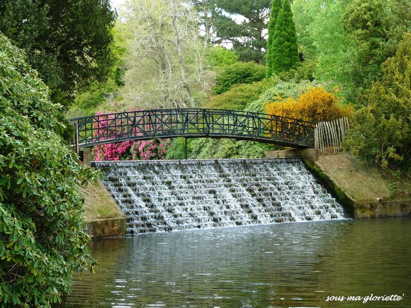 Sheffield Park3