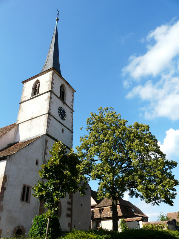 Mittelbergheim (12)