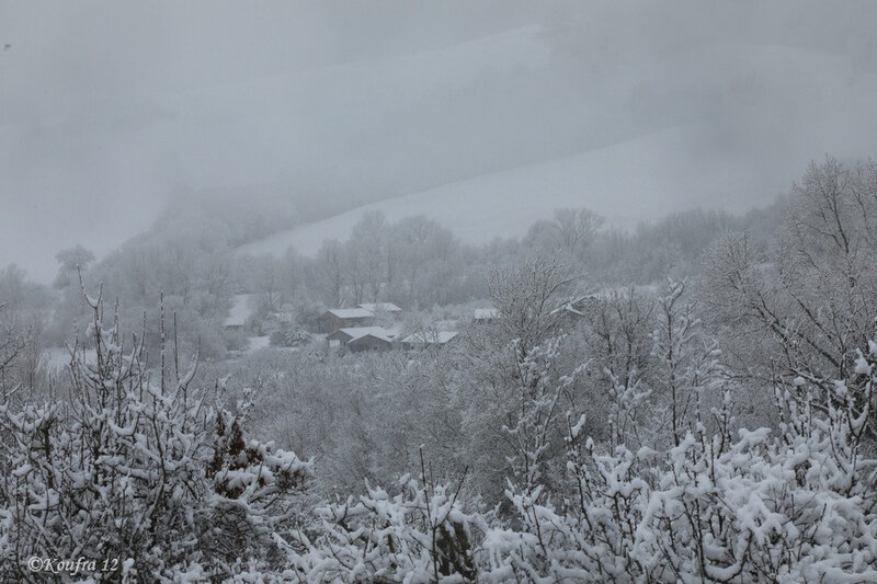 Photos JMP©Koufra 12 - Cornus - Neige - 28012019 - 0092