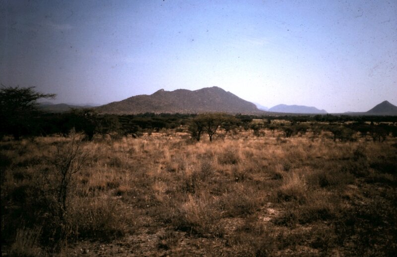 amboseli w o