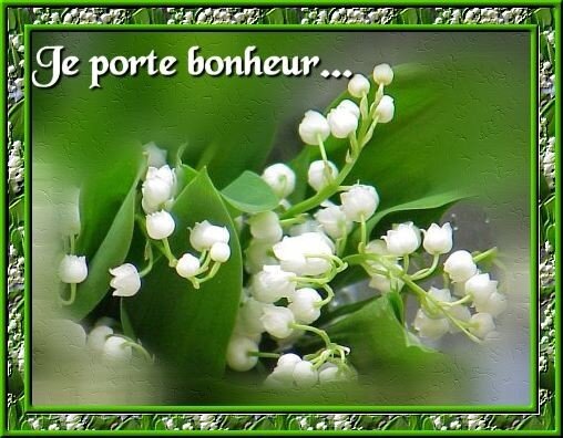 Muguet2