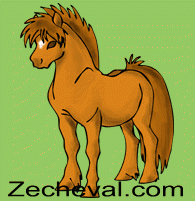 race_2D2_poney_alezan