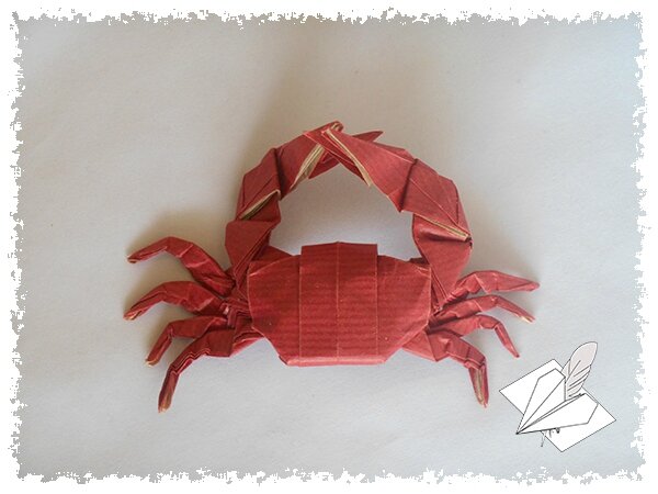 Crabe 004 blog