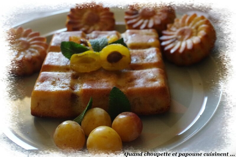gâteau yaourt aux mirabelles-4764