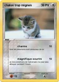 chat pokémon n°2