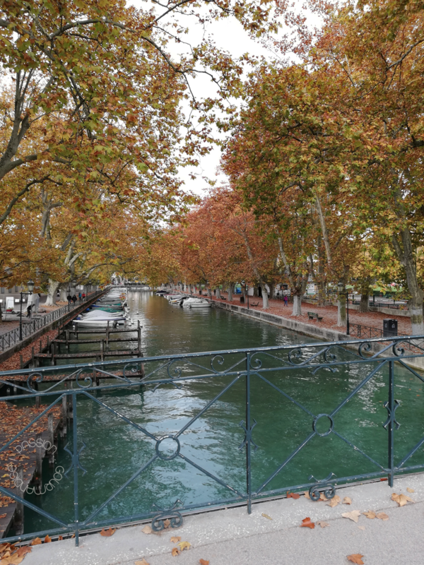 Annecy 2020_40