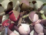 nov_08_103