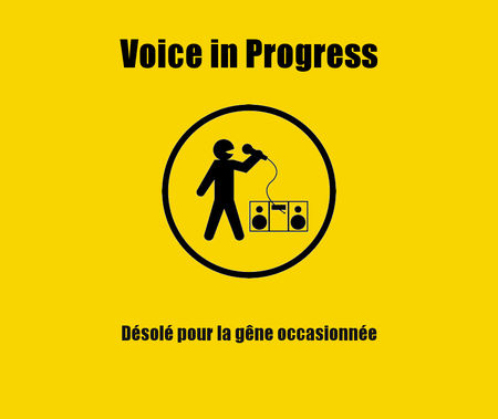 Voice_in_progress_cours_chant_lyon_icone