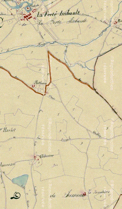 La Ferté-Imbault-cadastre