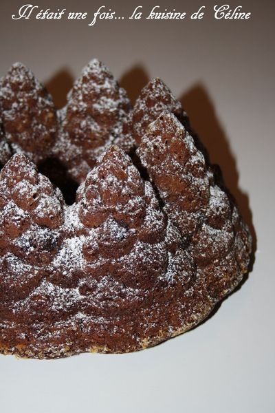 il_etait_une_fois_la_kuisine_de_celine_gateau_chocolaitfermente