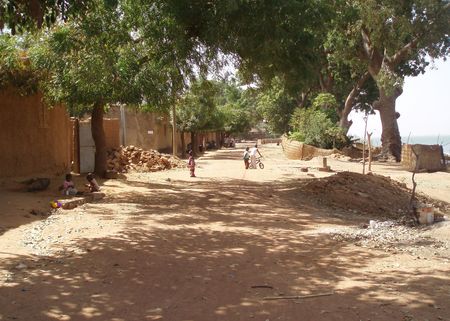 rue ombragée SÉGOU Mali