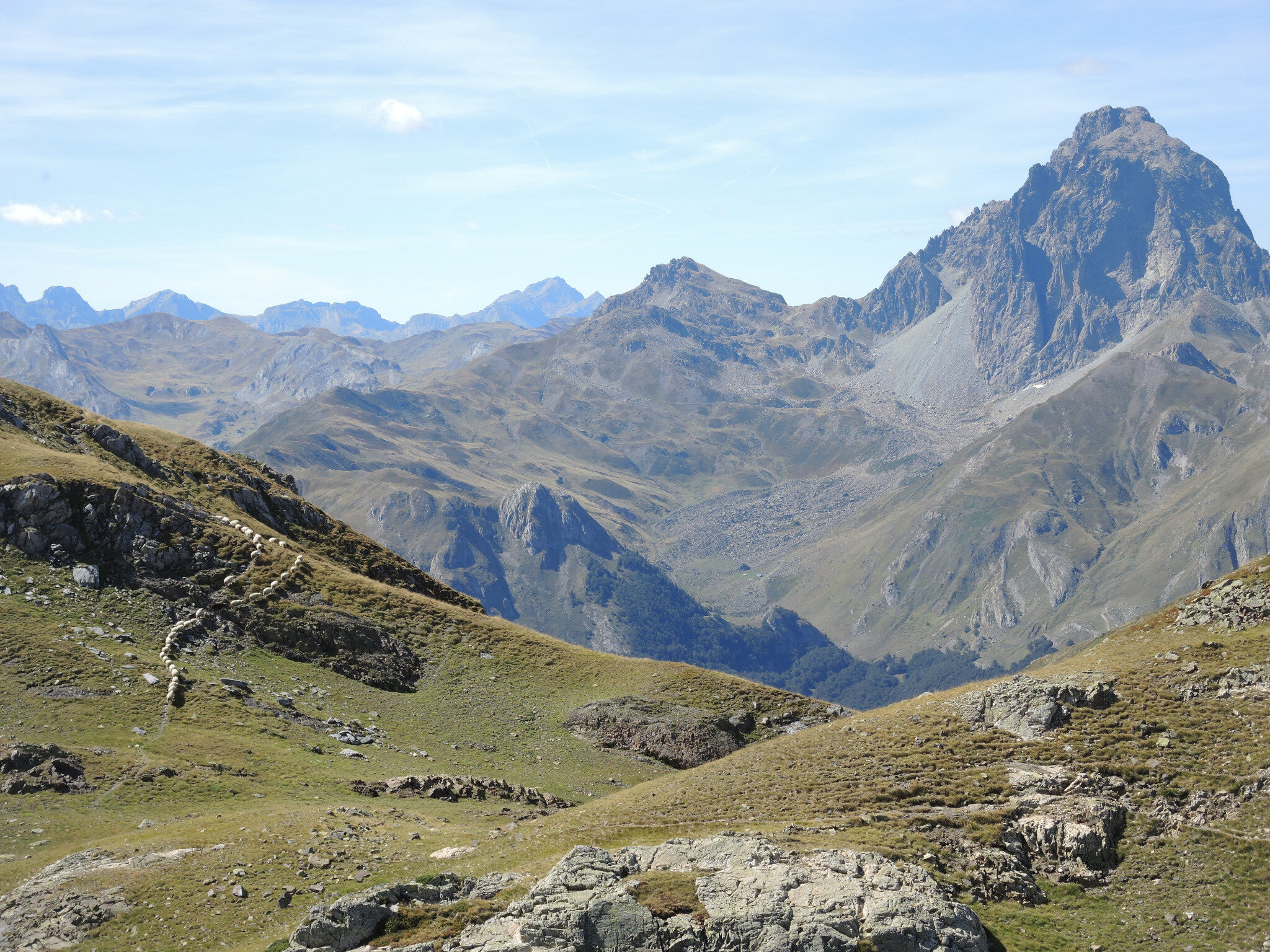 Lac d'Arrious, randonnée, Lac d'Arrious, brebis et pic du Midi d'Ossau