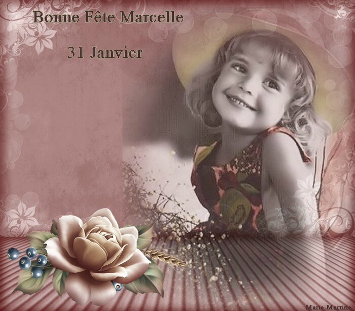 BF Marcelle