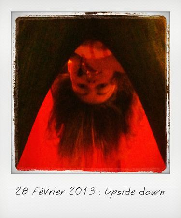 28-upside down_instant