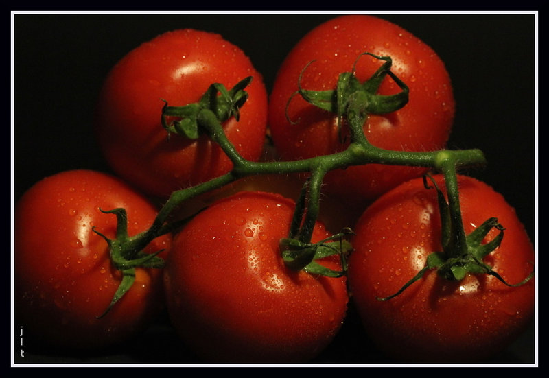 tomates rouges et vertes 002