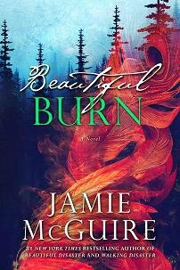 Beautiful Burn Official Cover