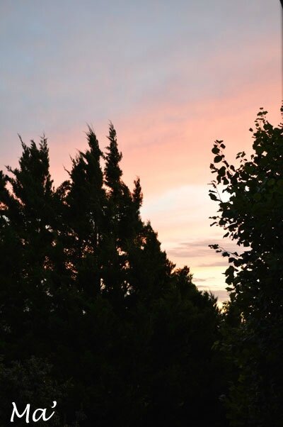 140624_fin_journee1