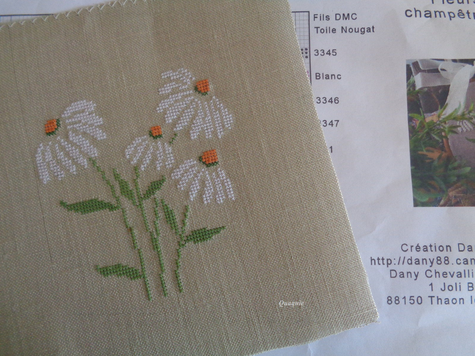 fleurs champêtres
