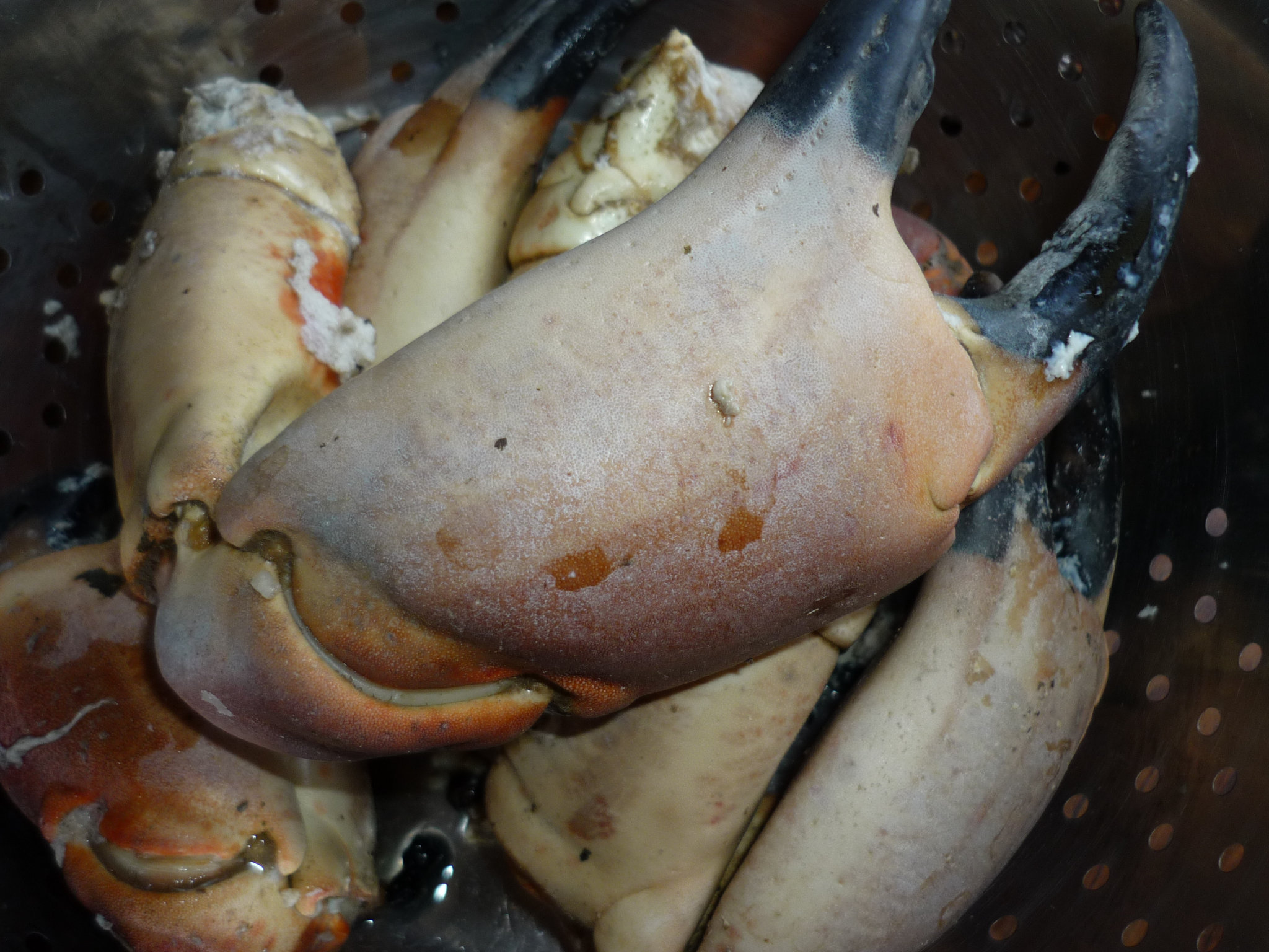 Combien De Pince De Crabe Dans 1 Kg PINCES DE CRABE TOURTEAU ET LEUR MAYONNAISE A L'AIL DES OURS - " Du