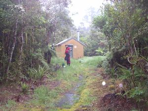 Leaving_Rapid_Creek_hut_the_next_day__heading_off_up_Whitcombe