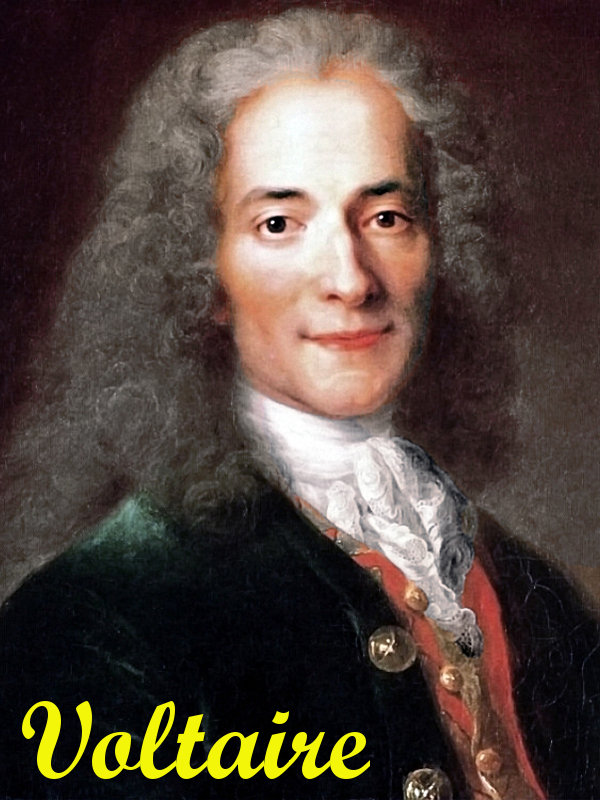 Atelier_de_Nicolas_de_Largillière,_portrait_de_Voltaire,_détail_(musée_Carnavalet)_-002