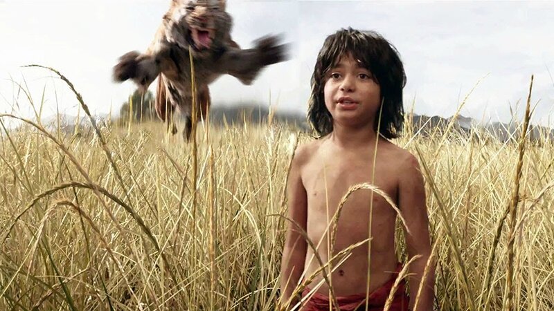 livre jungle