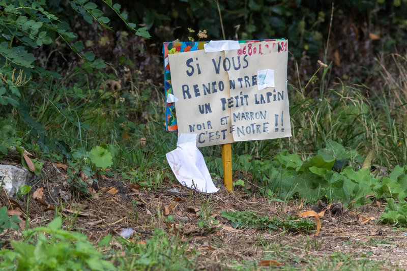 affiche recherche lapin 210921 tél masqué