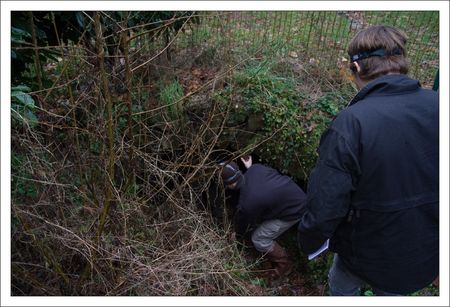 DSNE_chauve_souris_arrivee_spot_1_entree_souterrain_230110