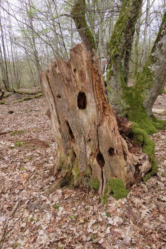 rando week-end Clamecy 106