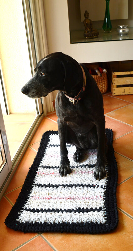 Tapis Trapilho- Zpagetti-crochet-DIY-Récup'- La chouette bricole (9)