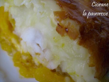 parmentier_de_poisson_potiron