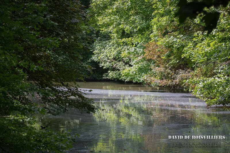 Pollution - Yerres