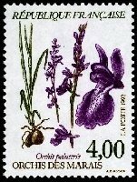 nature1992