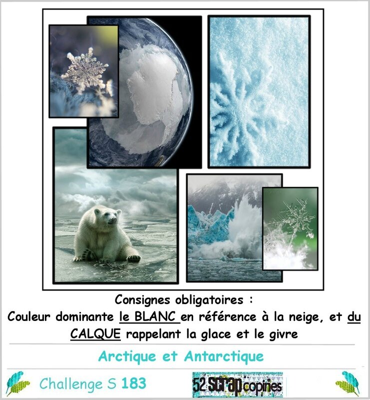 Challenge S183 -arctique et antarctique