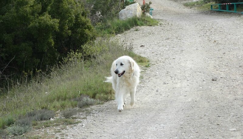 Colline 3 avril 003