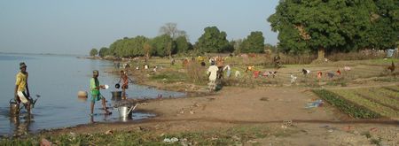 arrosage manuel Maraîchers de SÉGOUKORO Mali