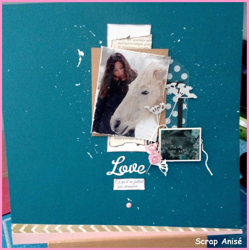 11 - Scrap Anisé