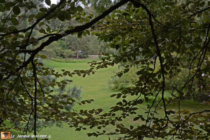 PAT_0914 Parc Oriental de Maulévrier