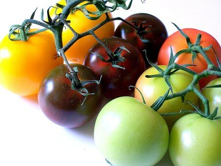 Tout_tomates