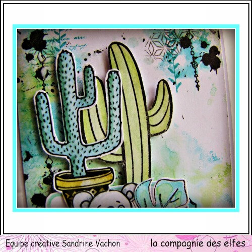 Carte cactus RELAX dt LCDE (3)