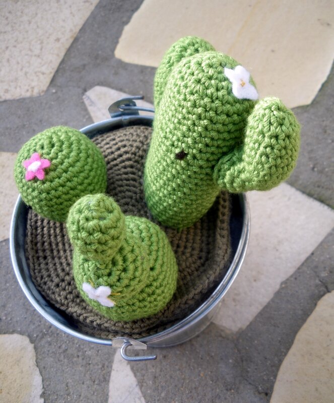 Cactus crochet (7)