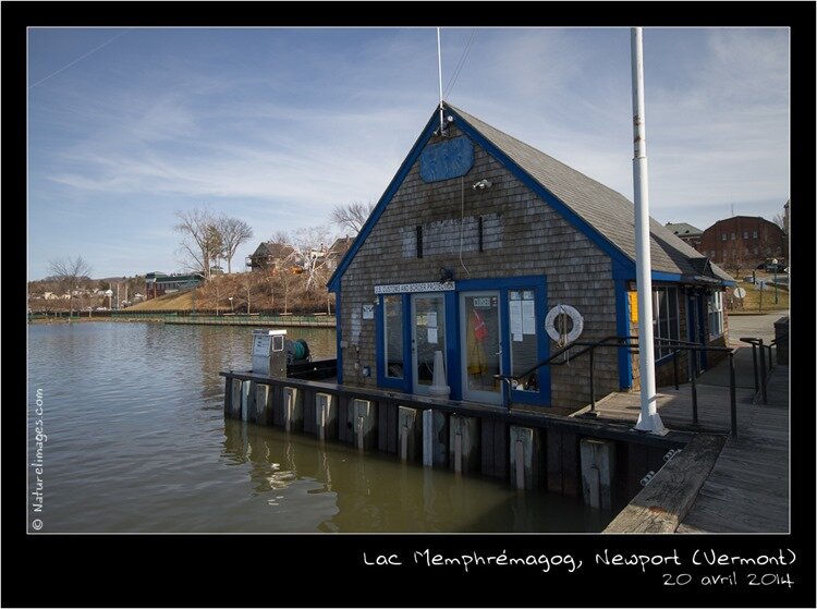 IMG_2063-naturelimages.com