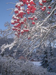 Carroz d'Arraches décembre 2009 143